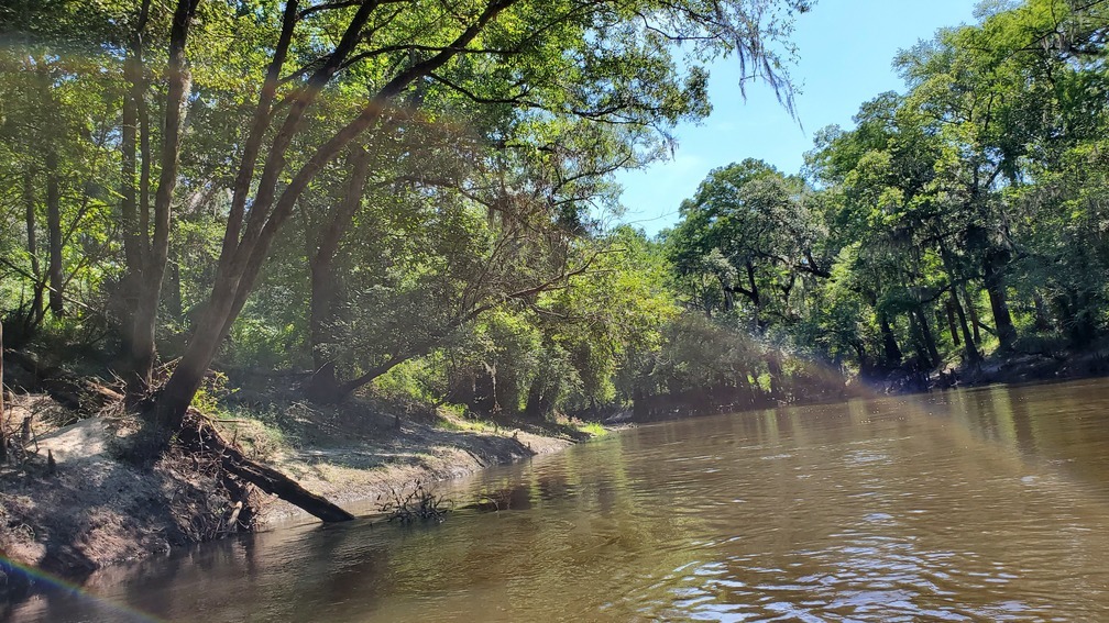 Upstream to Loch-Winn Branch, 11:11:16, 30.8416297, -83.3509144