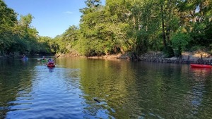 [There they go down the Withlacoochee, 08:05:18, 30.84699, -83.34775]