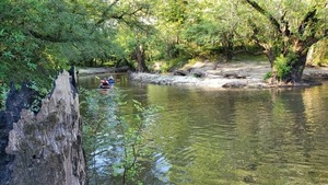 [More back from upstream Withlacoochee, 08:49:50, 30.8471881, -83.3477238]