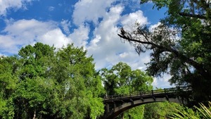 [Spook Bridge from below]