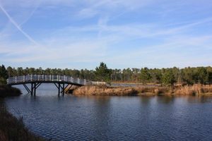 [Bridge over lake]