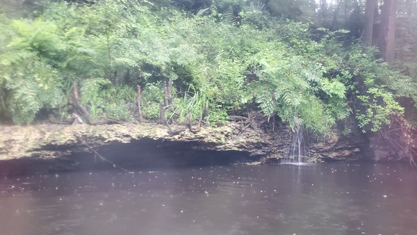 [Corbett Waterfall, 10:38:17, 30.6963749, -83.0382980]