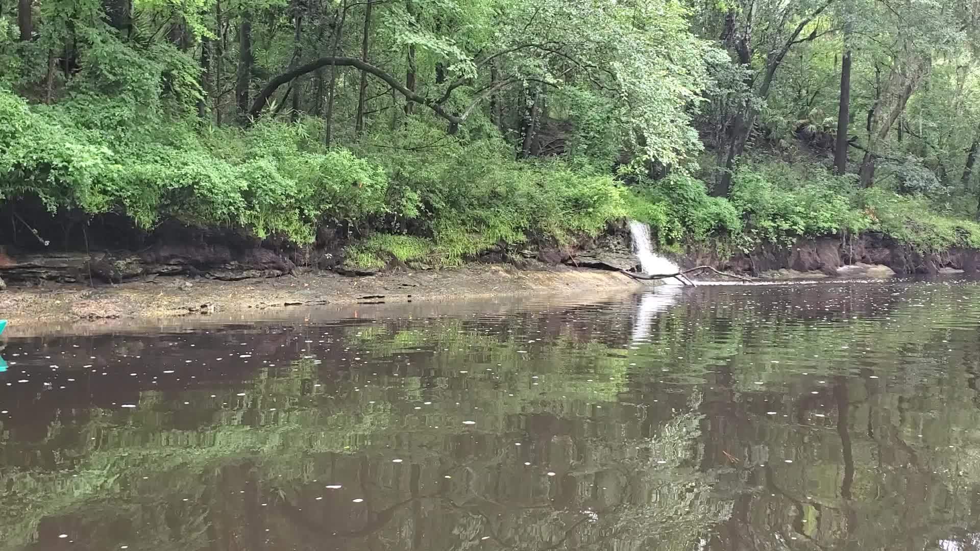 Movie: Viney (Strickland Waterfall), 13:38:19, 30.6318561, -83.0475760