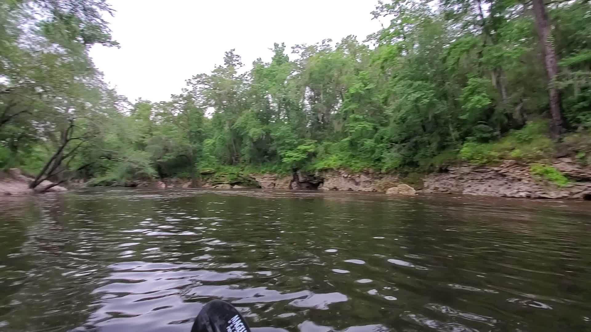 Movie: Can't paddle up that (Alapahoochee River), 15:33:28, 30.60204, -83.07402