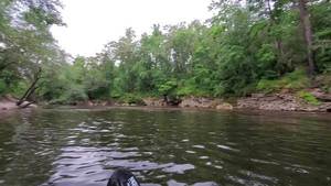 [Movie: Can't paddle up that (Alapahoochee River), 15:33:28, 30.60204, -83.07402]