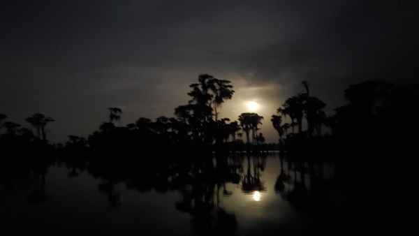 Moon in water