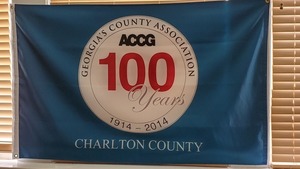 [Charlton County ACCG 100 years 1914-2014]