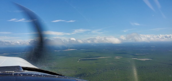 [Looking northeast, 10:28:35, 30.6304544, -82.1146105]