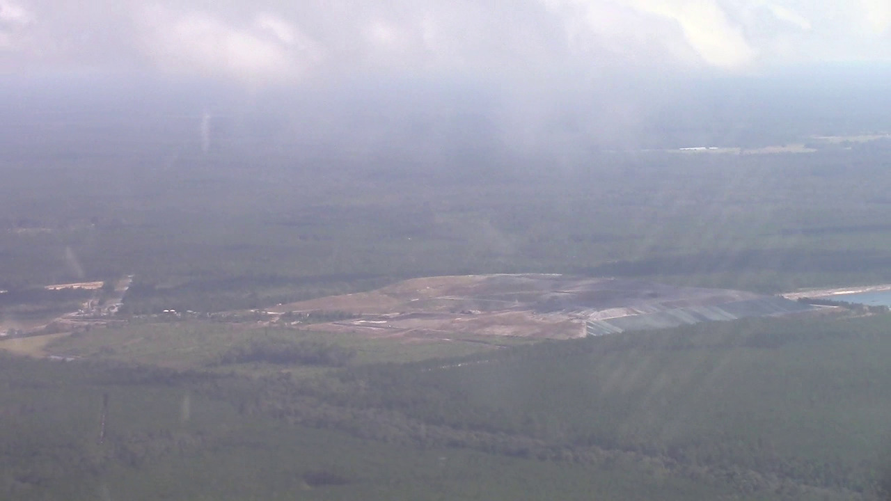 Foggy closeup, Landfill, Chesser Island Road