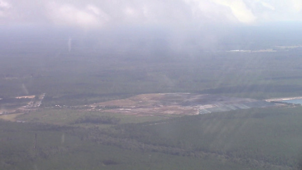 Foggy closeup, Landfill, Chesser Island Road