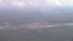 [Foggy closeup, Landfill, Chesser Island Road]