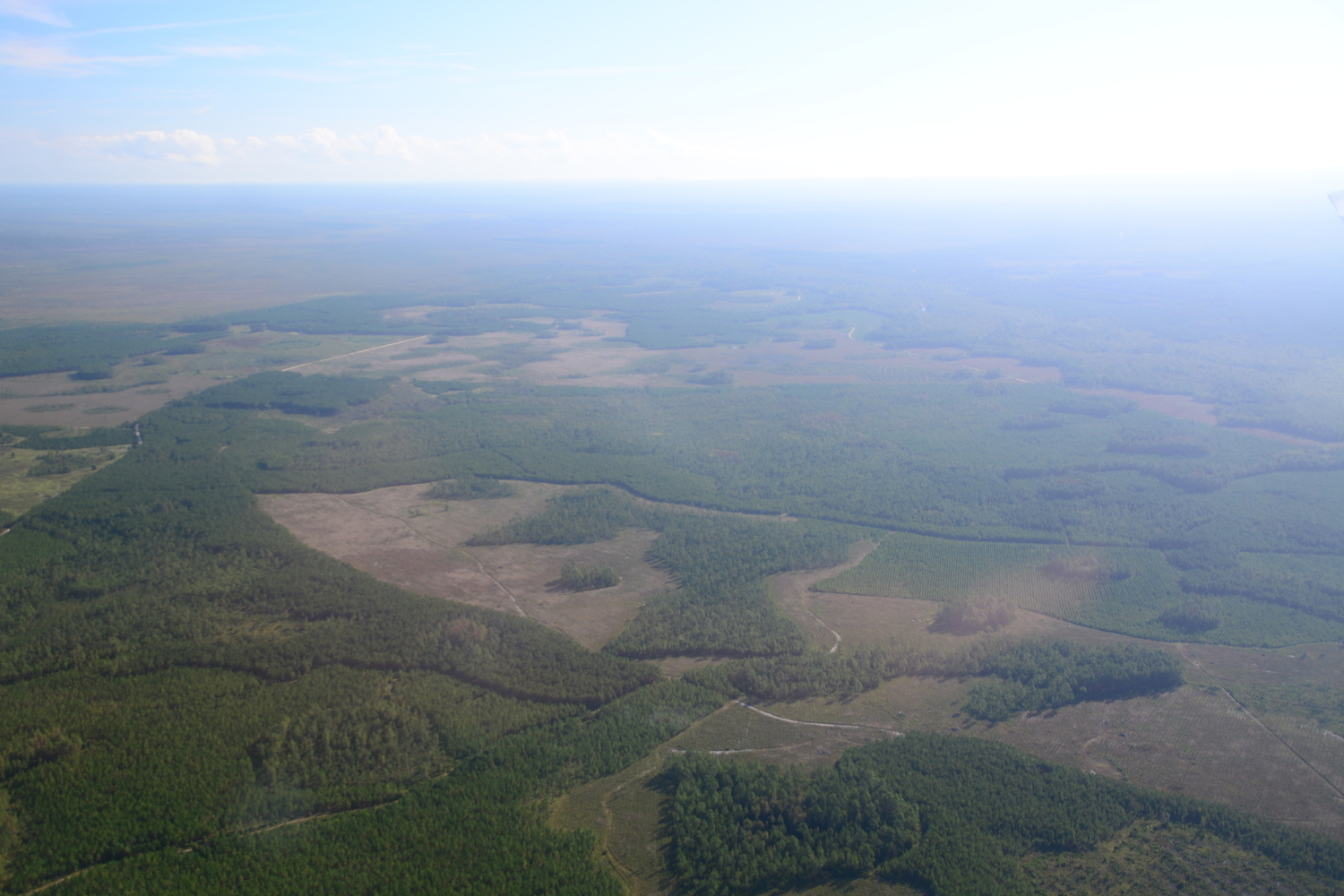 Griffis Fish Camp lost in distant haze