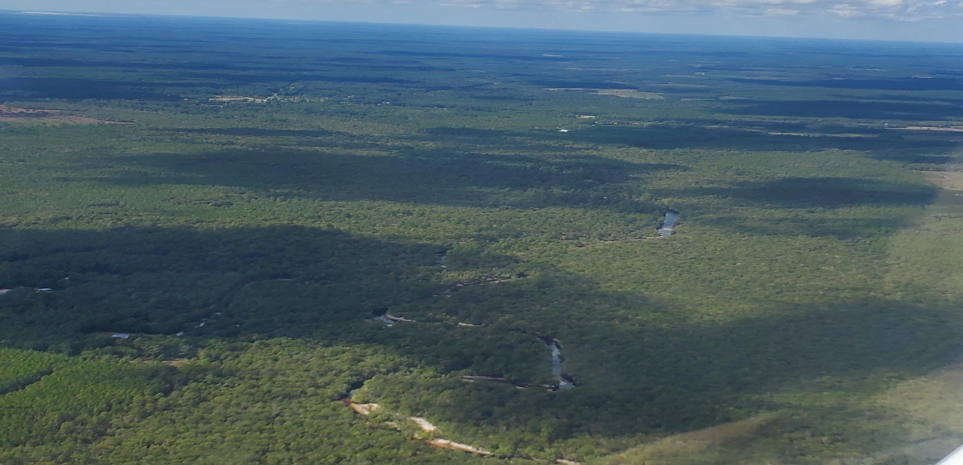 Sandy Suwannee downstream from Tatum Creek by John S. Quarterman, 12:04:13, 30.7161810, -82.5134767