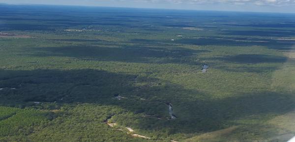 [Sandy Suwannee downstream from Tatum Creek by John S. Quarterman, 12:04:13, 30.7161810, -82.5134767]