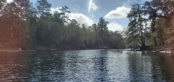 [Shoals visible around the bend 113125, 11:31:25, 30.6323175, -83.2947874]