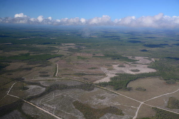 [River Styx & Okefenokee NWR --Wayne Morgan 2019-10-05]