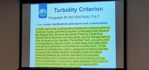 [Slide: Turbidity Criteria (b)]