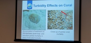 [Turbidity Effects on Coral]