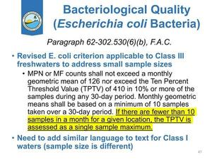 [(Escherichia coli Bacteria)]