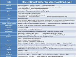 [Recreational Water Guidance/Action Levels]