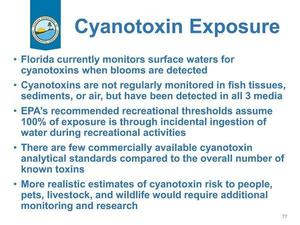 [Cyanotoxin Exposure]