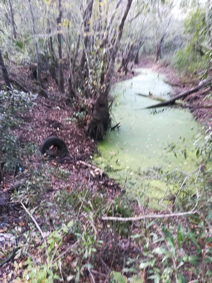 Green water with tire