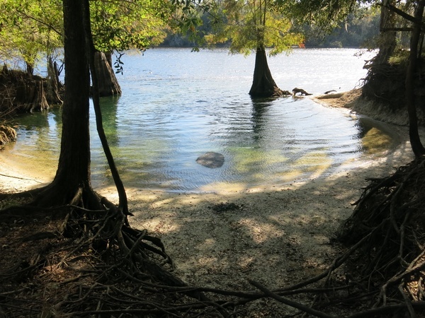 [Looking out to the Suwannee River]