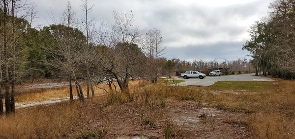 [Parking, Suwannee River Sill, 09:41:33, 30.8039080, -82.4192722]