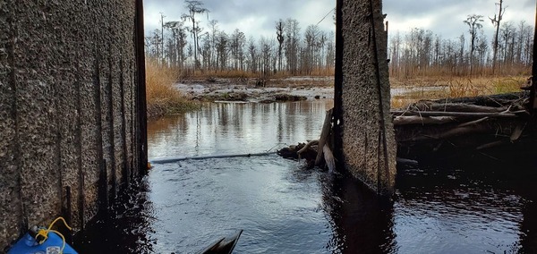 [The Sill is always open for Suwannee River water, 09:50:32, 30.804, -82.4177]