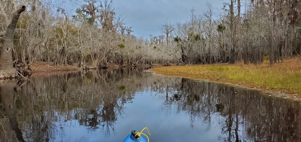 [The river looks different behind the Sill, 09:55:04, 30.8044076, -82.4195093]