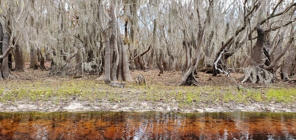 Red water, green grass, 11:22:19