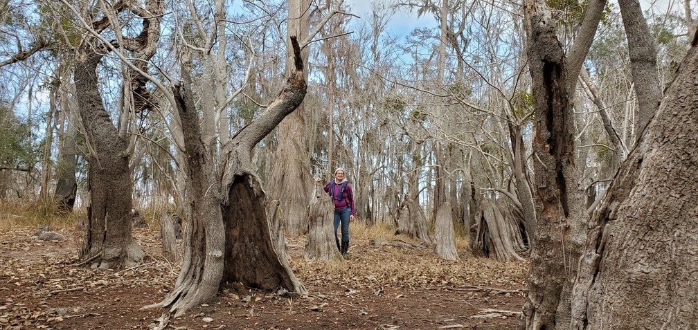 Gretchen and a cypress on the bank, 10:55:53, 30.8012606, -82.4225956