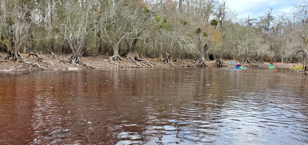 Mistletoe, boats, river, 11:04:35, 30.7988077, -82.4240784