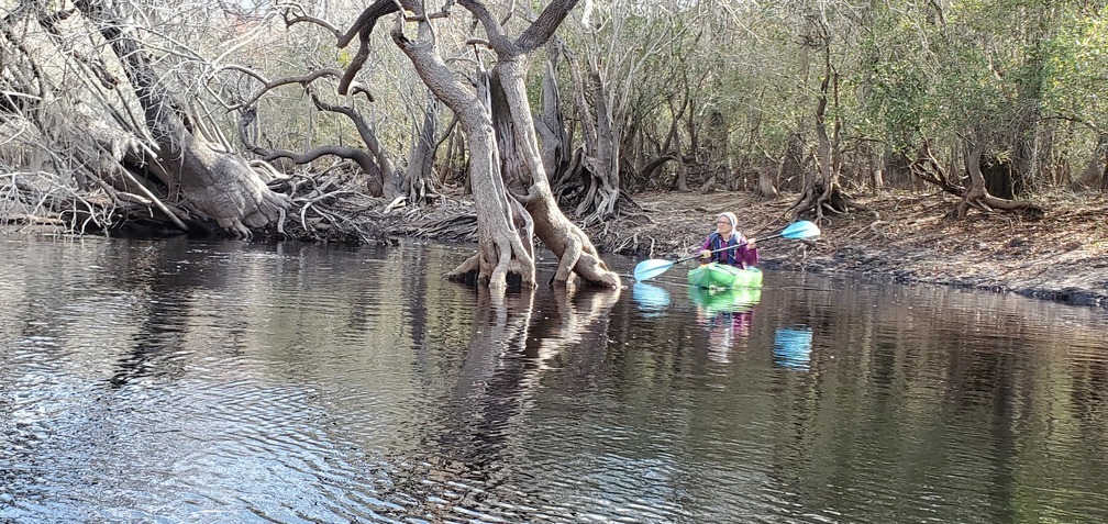 Gretchen and split tree in river, 11:47:19, 30.7917215, -82.4391681