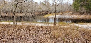 [Suwannee River coming in below the Sill, 09:41:28, 30.8039080, -82.4192722]