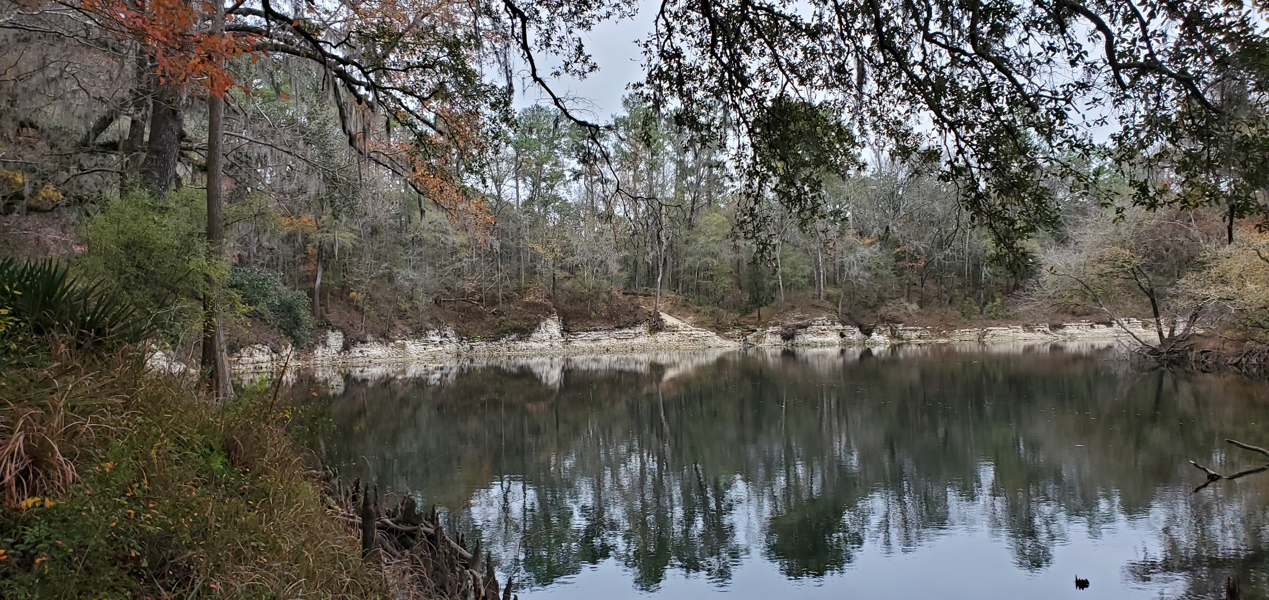 Seen from upstream