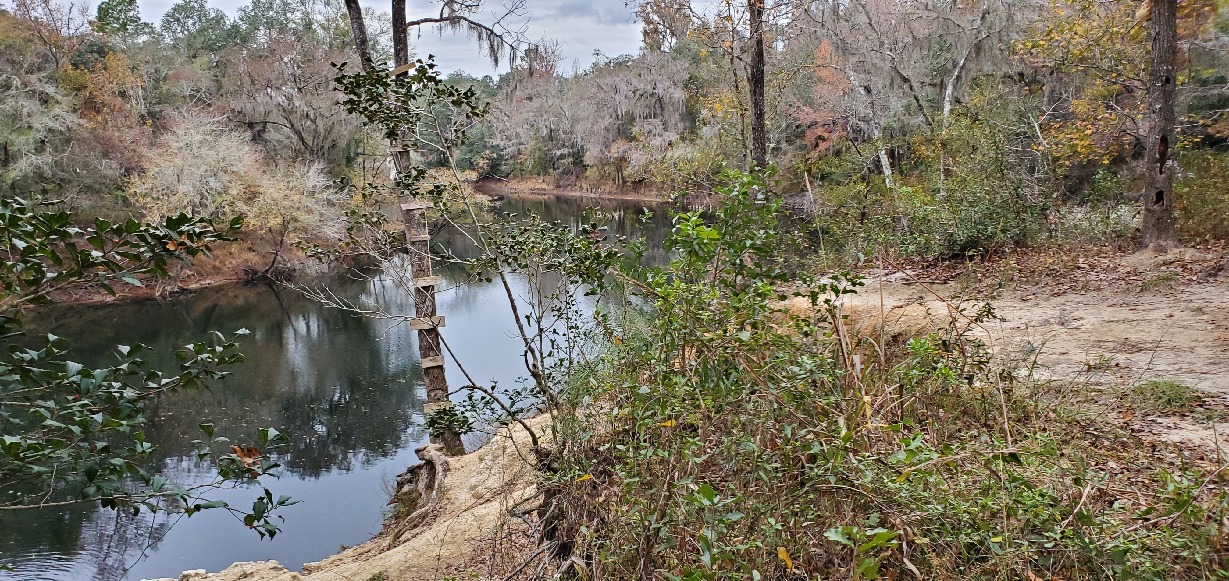 Back to Withlacoochee River