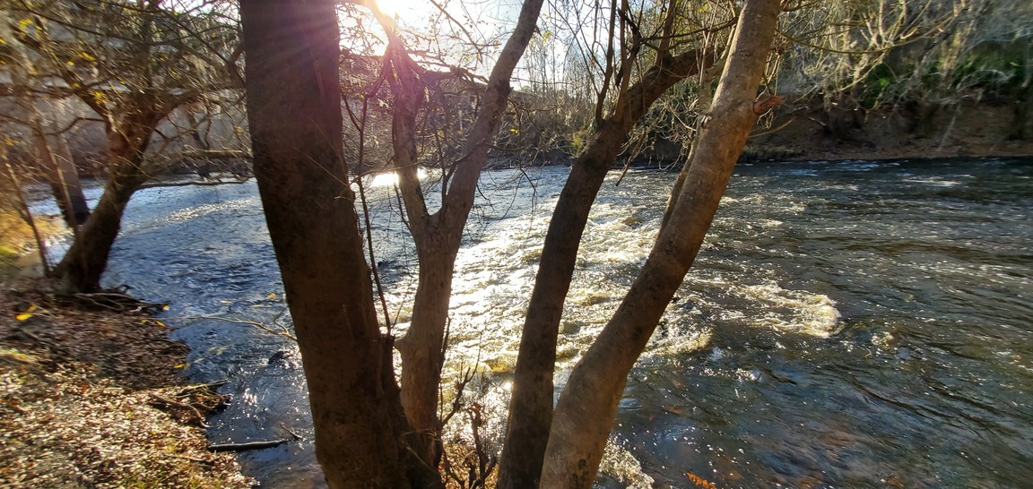 Rapids and bridge, 16:11:24