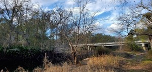 [Afternoon at Hagan Bridge, 15:20:53]