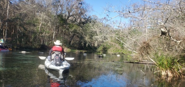 [On the Ichetucknee River, 10:43:28, 29.9846240, -82.7584800]