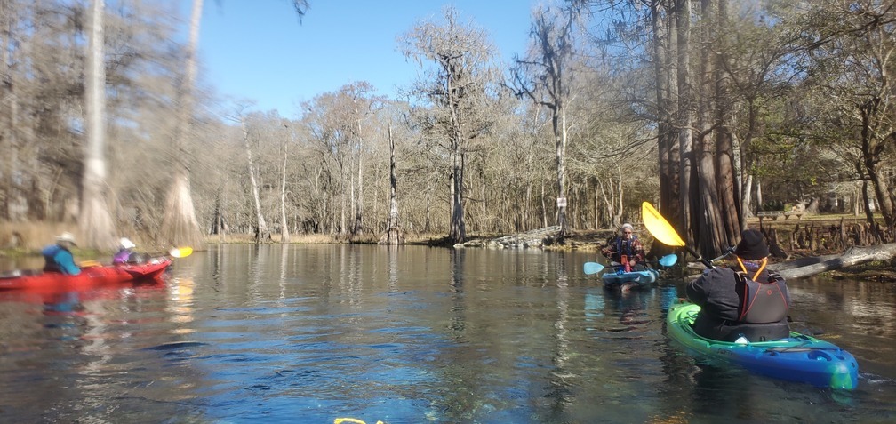 Manatee watching, 14:03:41, 29.9365070, -82.7981240