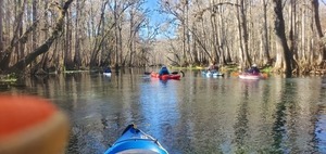 [Follow the blue sky canopy water trail, 11:35:31, 29.9638452, -82.7640995]