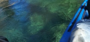 [Blue and green water, 13:18:45, 29.9521922, -82.7862881]