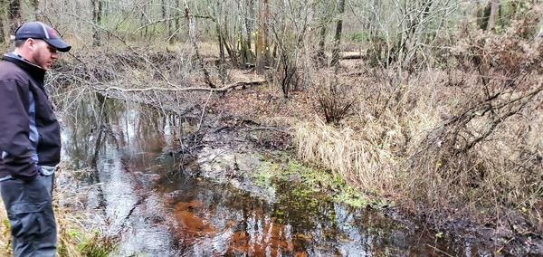 Not what you want to see in a creek