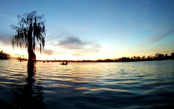 [Cypress-framed sunset (MG)]