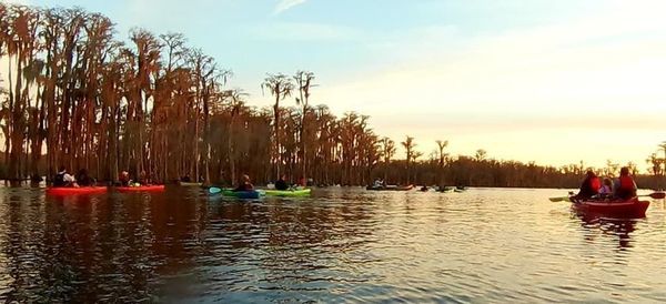 Arc of paddlers (NWX)