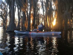 [Paddler, cypress, sunset]