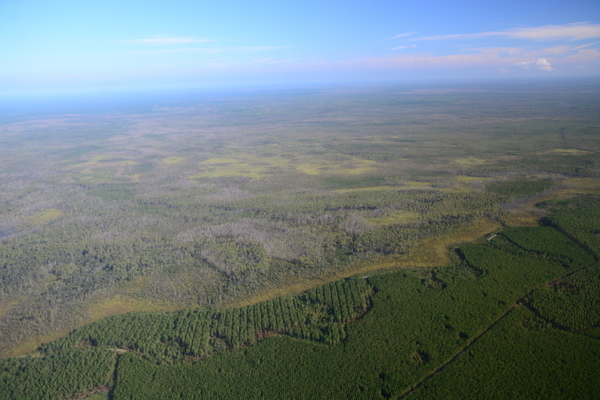 GA-FL line, Okefenokee Swamp, Wayne Morgan, Southwings, 2019-10-05