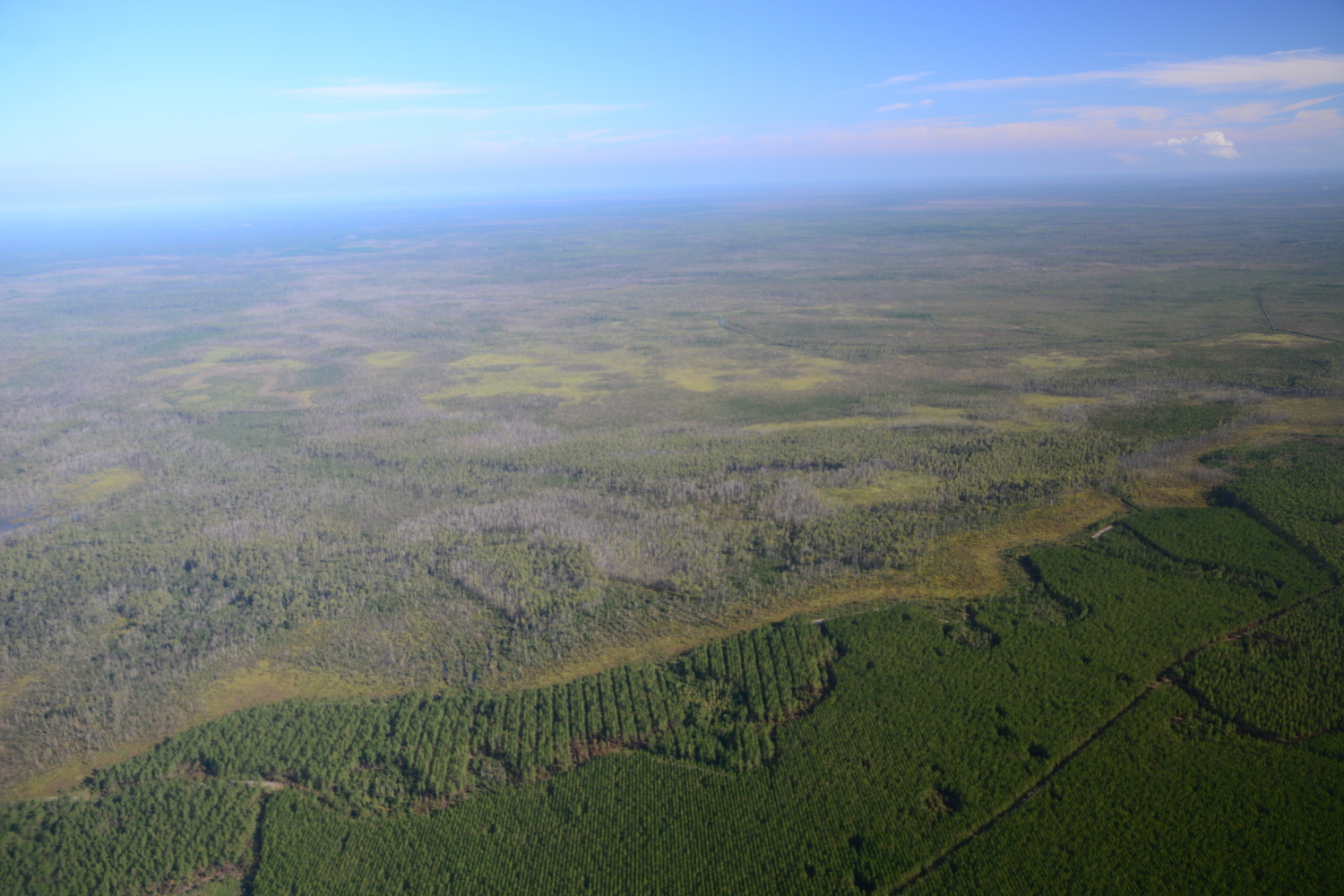 GA-FL line, Okefenokee Swamp, Wayne Morgan, Southwings, 2019-10-05