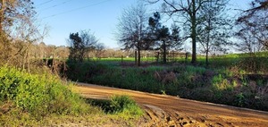 [Cows in pasture with runoff into ditch, then creek]